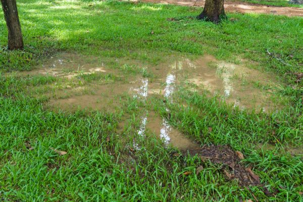 Storm Water Drainage Service in Windsor
