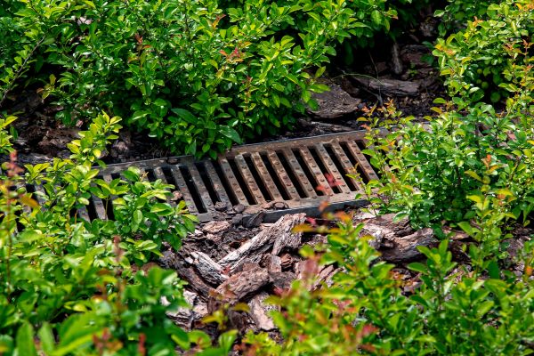 Underground Drainage Service in Windsor