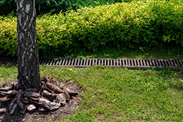 Garden Drainage Installation in Windsor