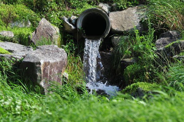 Water Redirection in Windsor