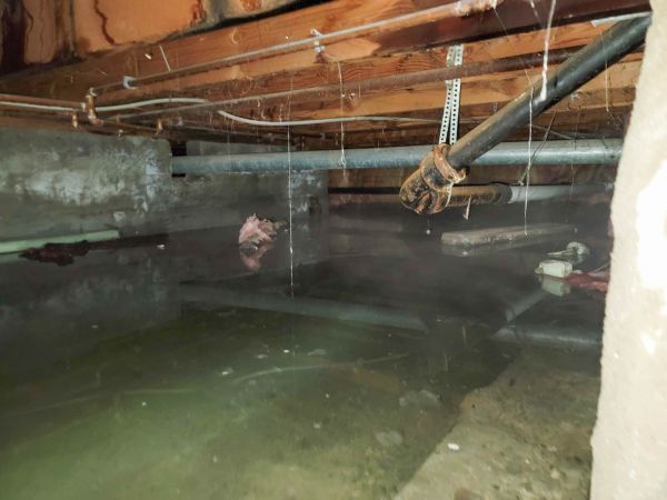 Cost of Crawlspace Drainage in Windsor