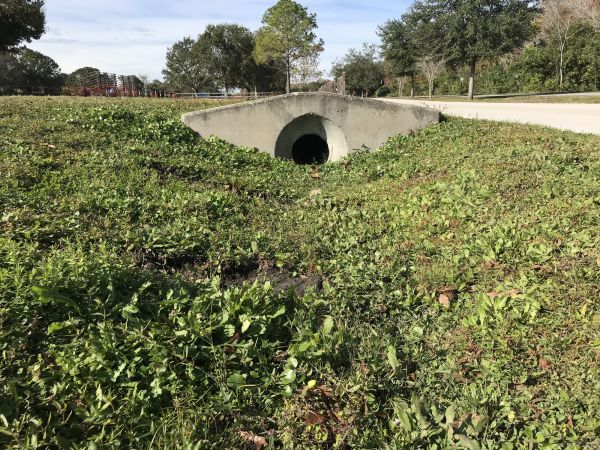 Cost of Swale Drainage Service in Windsor