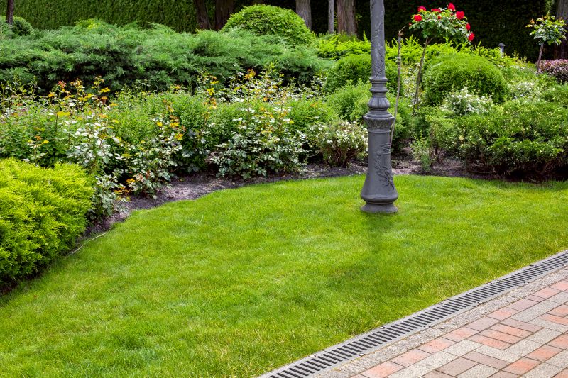 Landscape Drainage Repairs